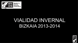Plan de Vialidad Invernal Bizkaia 2013