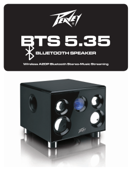bts 5.35 bluetooth speaker