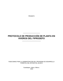 protocolo de producción de planta en viveros del fiprodefo