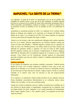 Informe Mapuches_castellano