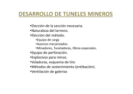 DESARROLLO DE TUNELES MINEROS