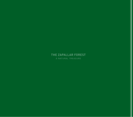 THE ZAPALLAR FOREST - Corporación Bosques de Zapallar