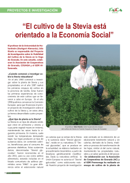“El cultivo de la Stevia está orientado a la Economía Social”