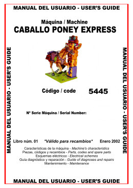 CABALLO PONEY EXPRESS