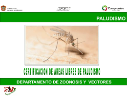 06 Generalidades del Paludismo
