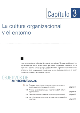 Cultura Organizacional - Cap 3