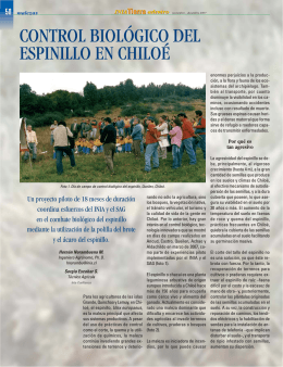 CONTROL BIOLÓGICO DEL ESPINILLO EN CHILOÉ