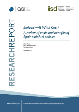 Biofuels At What Cost? A review of costs and benefits of Spain`s