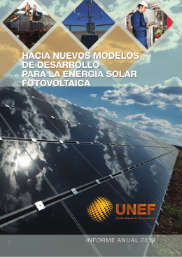 Informe Anual UNEF 2013