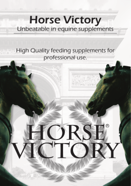 Horse Victory