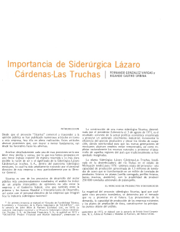 Importancia de Siderúrgica Lázaro Cárdenas