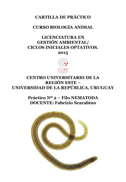 Diapositiva 1 - Universidad de la República