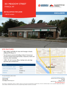 View Flyer #1 for 301 Meadow Street South, Ithaca, NY