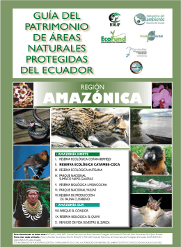 amazónICa - Sistema Nacional de Información