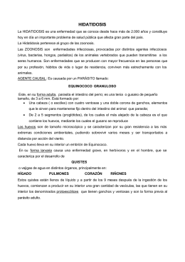 HIDATIDOSIS - Ministerio de Salud Jujuy