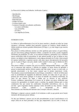 La Pesca de la Lubina con Señuelos Artificiales (I parte)