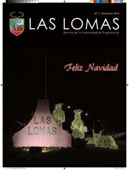 Descargar número 1 de la revista Las Lomas – Diciembre 2014