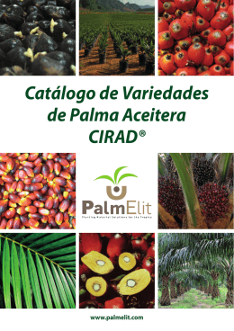 Catálogo de Variedades de Palma Aceitera CIRAD®