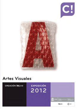 Catalogo Artes Visuales Creación Injuve 2012