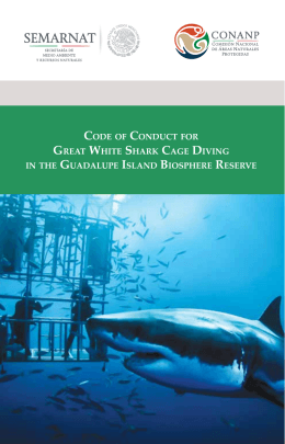 code of conduct for great white shark cage diving
