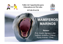 MAMÍFEROS MARINOS - Servicio Bienestar Armada