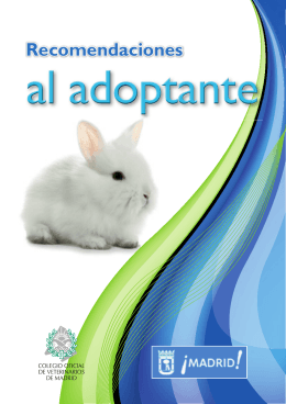 Guía adoptante conejos