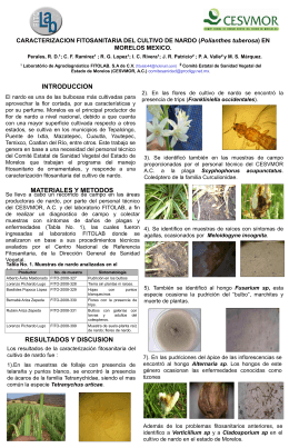 Caracterización fitosanitaria del cultivo de nardo