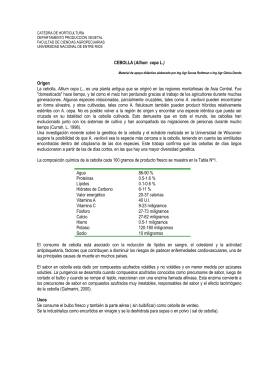 CEBOLLA (Allium cepa L.) - Facultad de Ciencias Agropecuarias