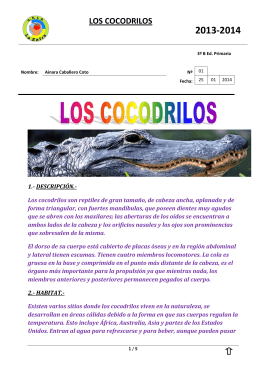 LOS COCODRILOS - CEIP La Zafra