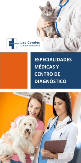 Especialidades Médicas - Clínica Veterinaria Las Condes