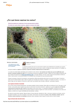 ¿Por qué tienen espinas los cactus? - Real Jardín Botánico