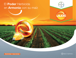 El Poder Herbicida en Armonía con su maíz