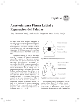 Capítulo Anestesia para Fisura Labial y Reparación del Paladar