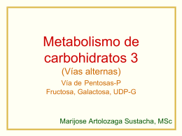Metabolismo de carbohidratos 3 (Vías alternas) Vía de Pentosas