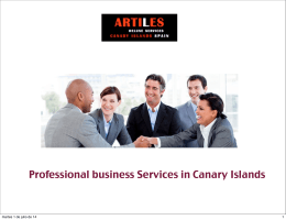 Professional business Services in Canary Islands