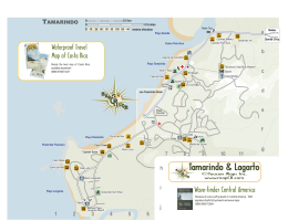 Tamarindo Beach - Toucan Maps Inc.