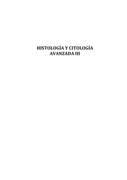HISTOLOGÍA Y CITOLOGÍA AVANZADA III