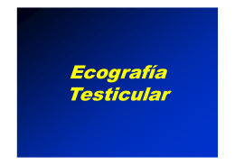 21.- Ecografia testicular [Modo de compatibilidad]
