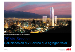 PPMV Service
