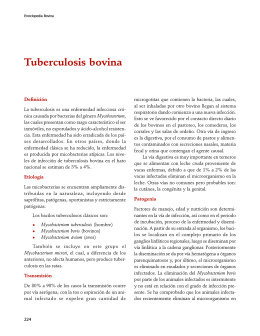 Tuberculosis bovina - FMVZ-UNAM
