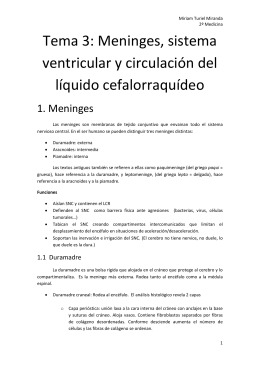 Tema 3: Meninges, sistema ventricular y