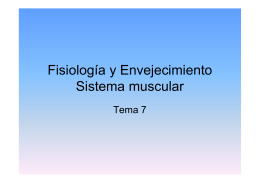 Fisiología y Envejecimiento Sistema muscular