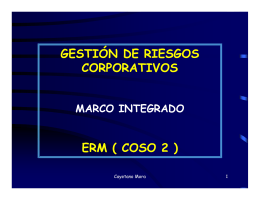 GESTIÓN DE RIESGOS CORPORATIVOS ERM ( COSO 2 )