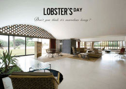 Untitled - Lobster`s Day