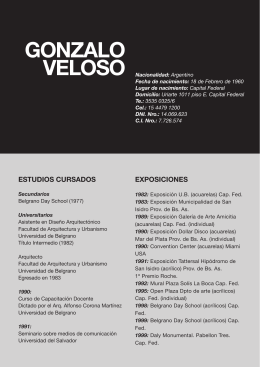 curriculum - Gonzalo Veloso