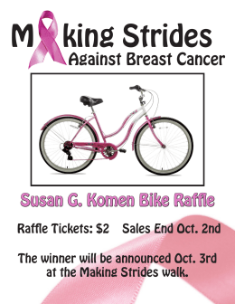 Against Breast Cancer Susan G. Komen Bike Raffle