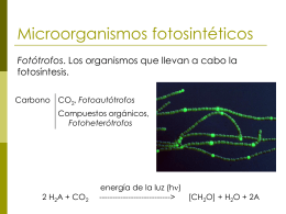 Microorganismos fotosintéticos