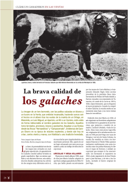 Clásicos ganaderos en Las Ventas: Los galaches