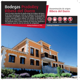 Bodegas PradoRey Ribera del Duero