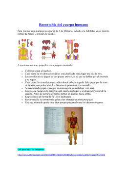 Recortable del cuerpo humano - capacitacionTIC-2011